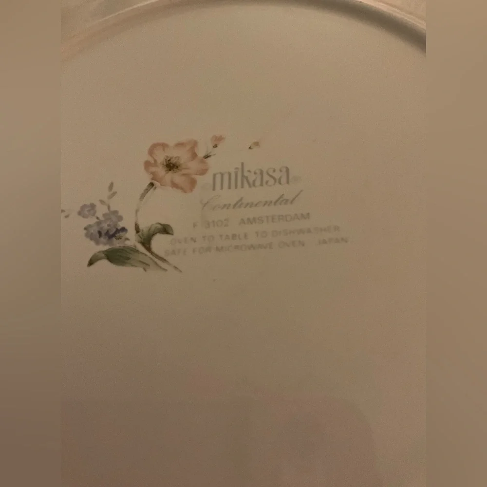 Set of 2 Mikasa Continental Amsterdam F3102 Dinner Plates 10-3/8”